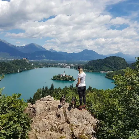Apartament Studio No.14 Bled