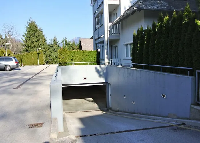 Studio No.14 ブレッド