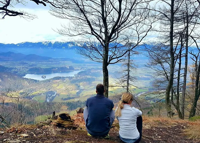 アパート Studio No.14 ブレッド